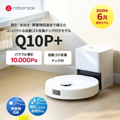 Q10P+の特長