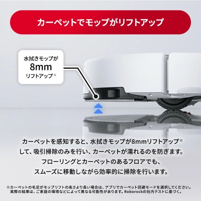 Q10P+の特長