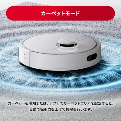 Q10P+の特長